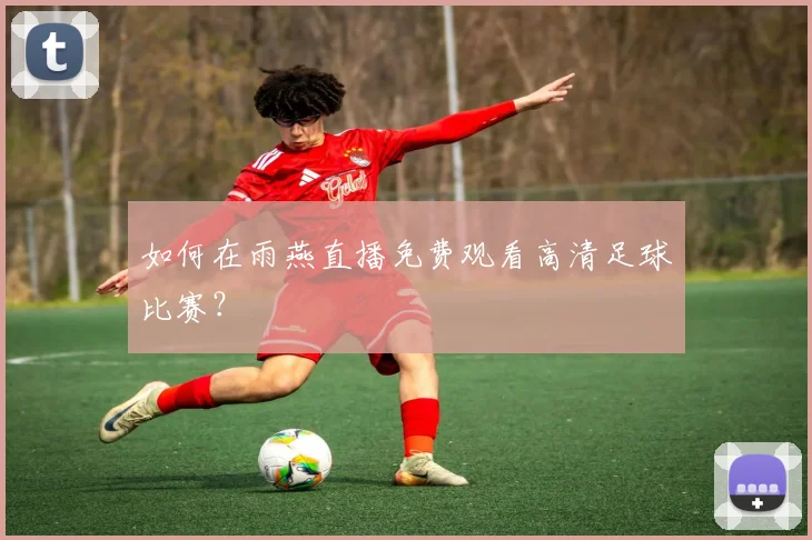 如何在雨燕直播免费观看高清足球比赛?
