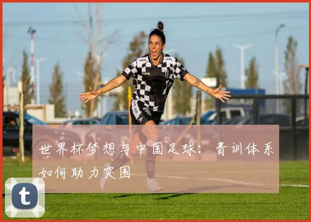 世界杯梦想与中国足球：青训体系如何助力突围