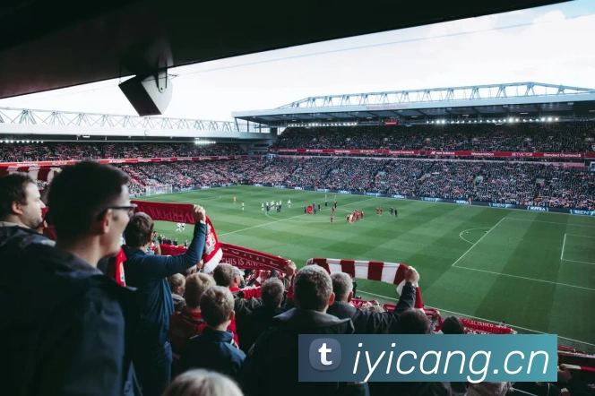 如何在雨燕app观看足球直播?完整操作指南